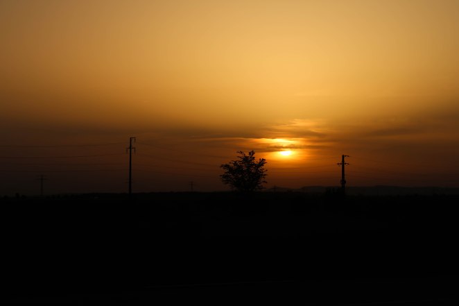 IMG_0291